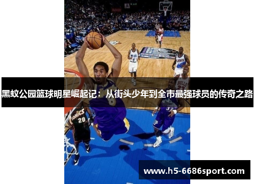 黑蚊公园篮球明星崛起记：从街头少年到全市最强球员的传奇之路